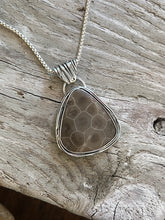 Load image into Gallery viewer, Petoskey Stone Nest Necklace