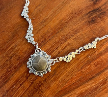 Load image into Gallery viewer, Petoskey Stone Breakaway Necklace