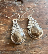 Load image into Gallery viewer, Petoskey Stone Cluster Earrings
