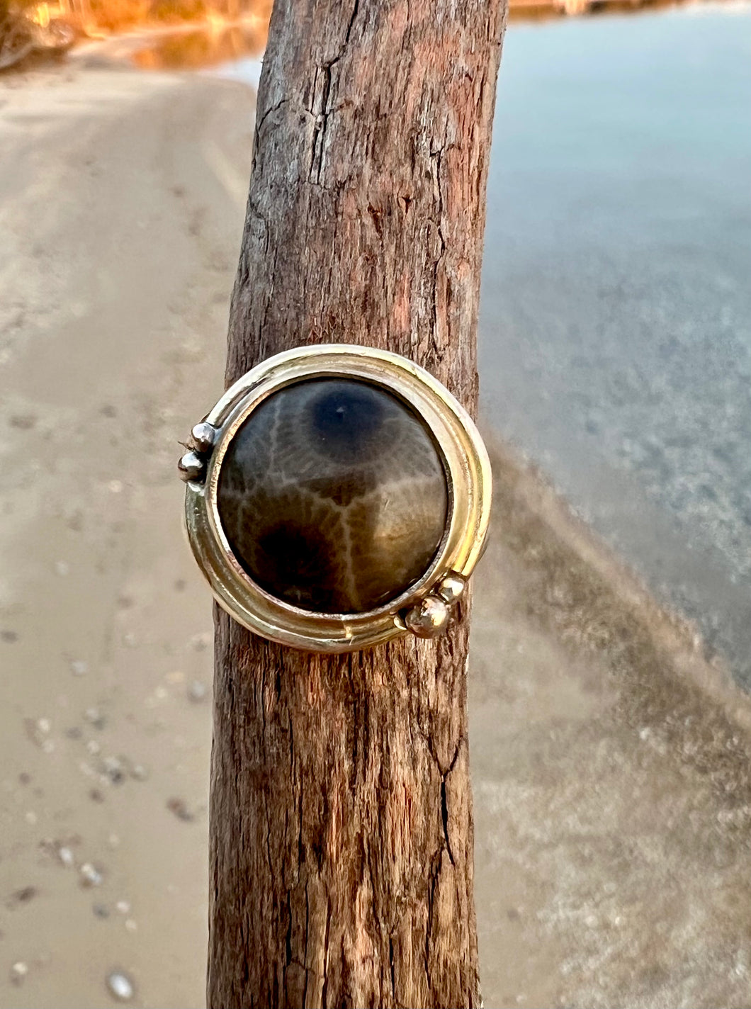 Gold Petoskey Stone Ring-Size 9.5