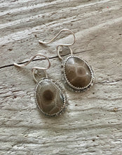 Load image into Gallery viewer, Petoskey Stone Sand Bar Earrings
