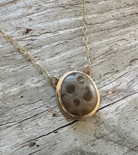 Load image into Gallery viewer, Gold Petoskey Stone Necklace
