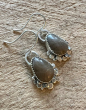 Load image into Gallery viewer, Petoskey Stone Cove Earrings
