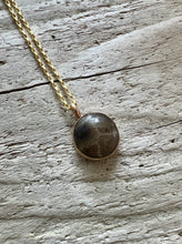 Load image into Gallery viewer, Gold Petoskey Stone Necklace
