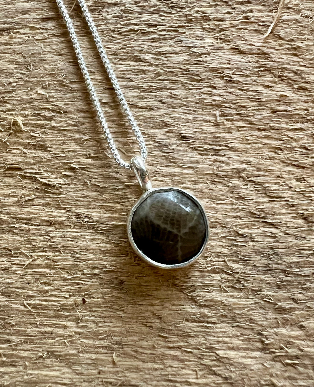 Simple Petoskey Stone Necklace #2