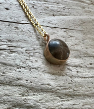 Load image into Gallery viewer, Gold Petoskey Stone Necklace
