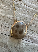 Load image into Gallery viewer, Gold Petoskey Stone Necklace

