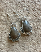 Load image into Gallery viewer, Petoskey Stone Cove Earrings
