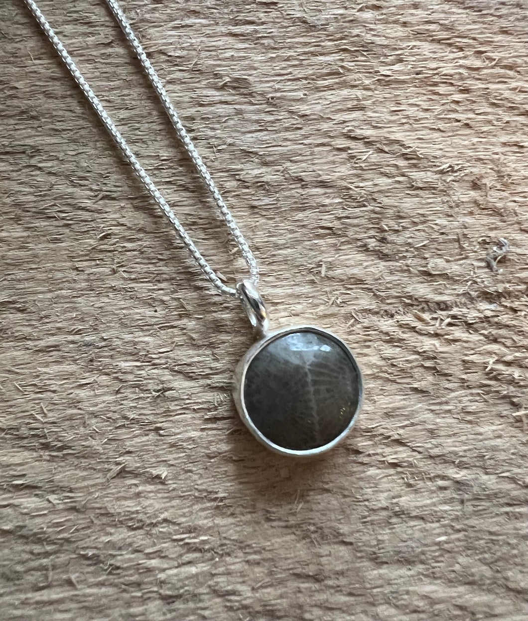 Simple Petoskey Stone Necklace
