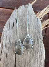 Load image into Gallery viewer, Petoskey Stone Droplets
