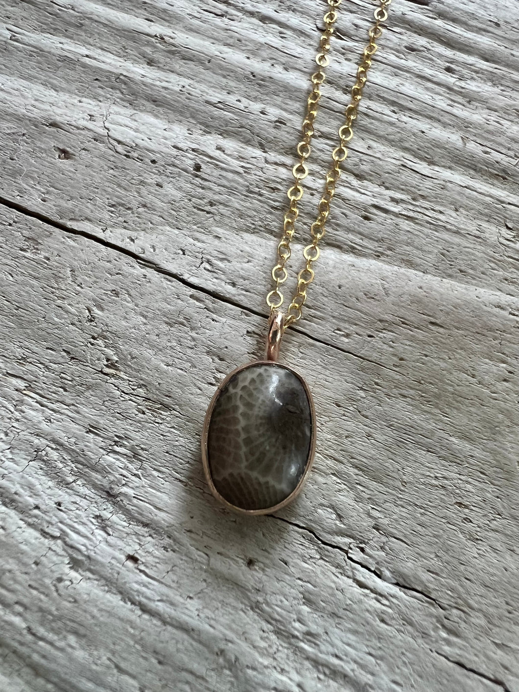 Gold Petoskey Stone Necklace