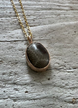 Load image into Gallery viewer, Gold Petoskey Stone Necklace
