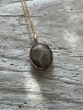 Load image into Gallery viewer, Gold Petoskey Stone Necklace

