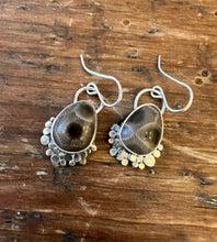 Load image into Gallery viewer, Petoskey Stone Cove Earrings
