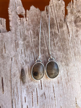 Load image into Gallery viewer, Petoskey Stone Droplets #2
