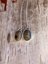 Load image into Gallery viewer, Petoskey Stone Droplets #2
