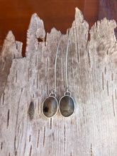 Load image into Gallery viewer, Petoskey Stone Droplets #2
