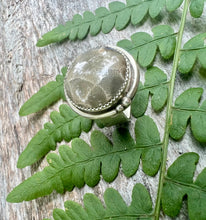 Load image into Gallery viewer, Petoskey Stone Driftwood Ring
