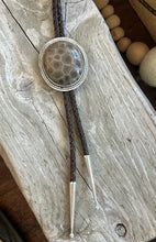 Load image into Gallery viewer, Petoskey Stone Burst Bolo Tie
