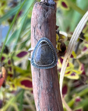 Load image into Gallery viewer, Hammered Burst Petoskey Stone- Size 5 Ring
