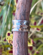 Load image into Gallery viewer, Spinner Ring- Size 6
