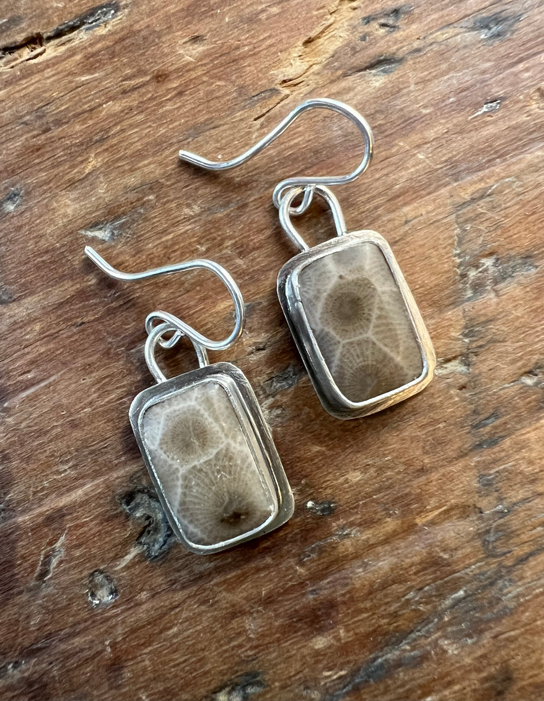 Petoskey Stone Rectangle Earrings