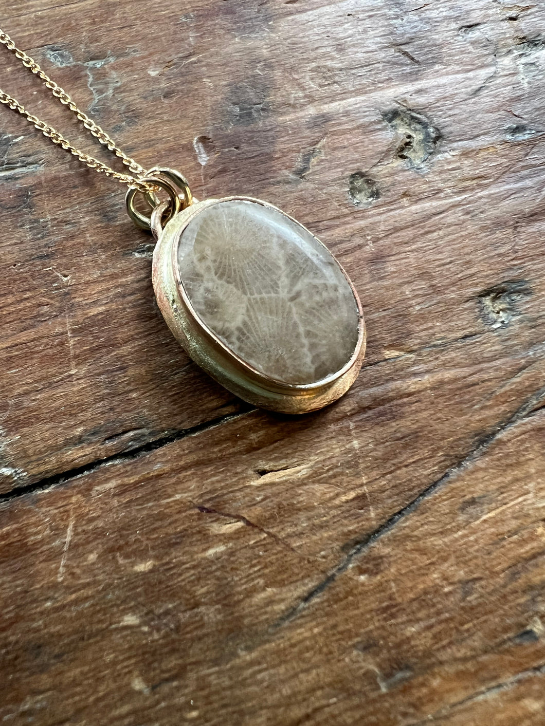 Gold Petoskey Stone Necklace