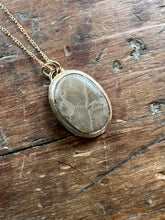 Load image into Gallery viewer, Gold Petoskey Stone Necklace
