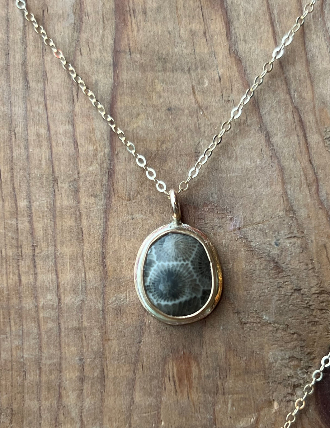 Gold Petoskey Stone Necklace