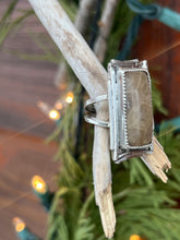 Load image into Gallery viewer, Rectangle Petoskey Stone Ring- Sz 6
