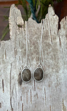 Load image into Gallery viewer, Petoskey Stone Droplets
