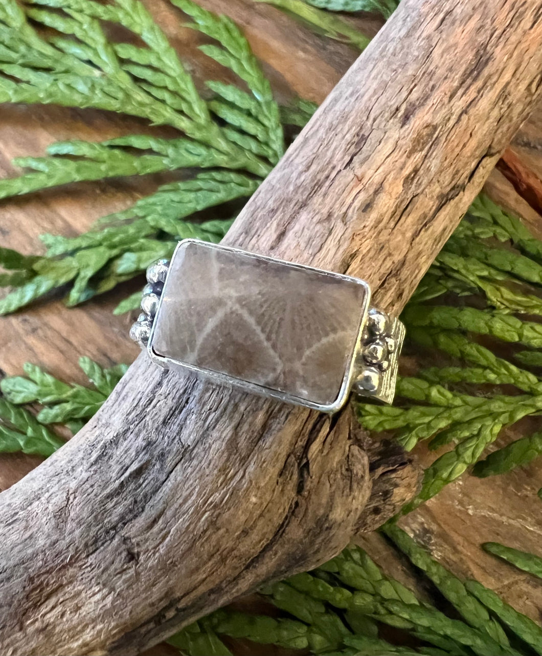 Rectangle Petoskey Stone Ring