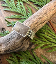 Load image into Gallery viewer, Rectangle Petoskey Stone Ring
