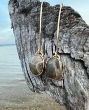 Load image into Gallery viewer, Gold Petoskey Stone Droplets
