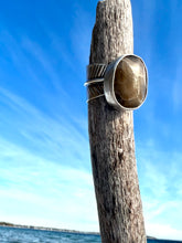 Load image into Gallery viewer, Leaflet Petoskey Stone Ring
